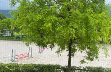 Agriturismo al Ranch - Foto 3