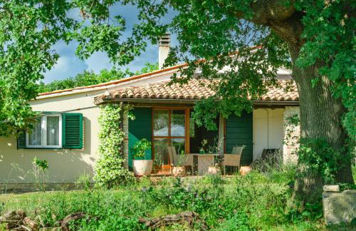 House Boris - Foto 1