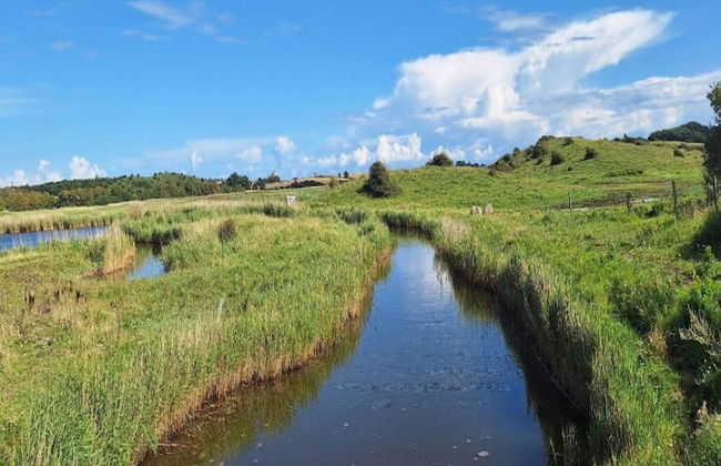 3 Person Holiday Home in Aeroskobing - Foto 22