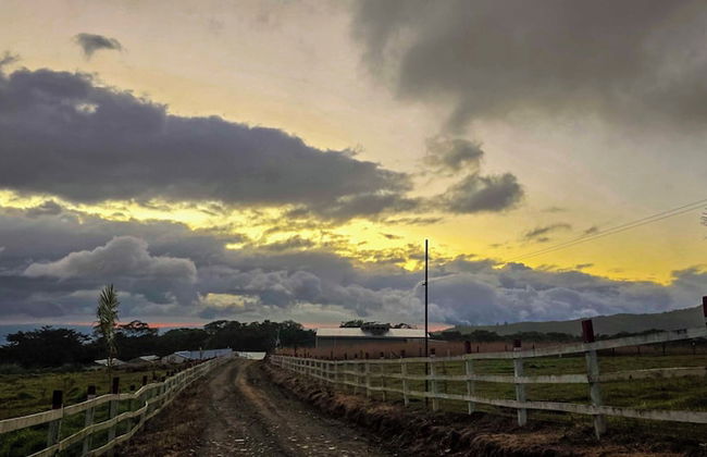 Almore Hotel - Foto 66