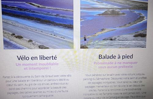 Les Oliviers de Camargue - Foto 30