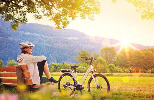 Komfort-Ferienhaus Sonnental #50 - Foto 39