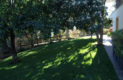 Casa De Santo Antão - Turismo Rural - Foto 43