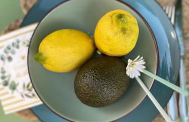 Taufrische Ferienwohnung Würzburg - Foto 9