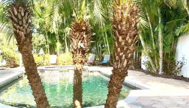 Tropical Oasis 10th - Foto 3