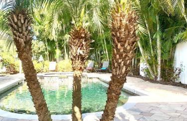 Tropical Oasis 10th - Foto 3