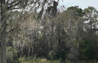 Professor Rousseau's Manatee Bay - Foto 27