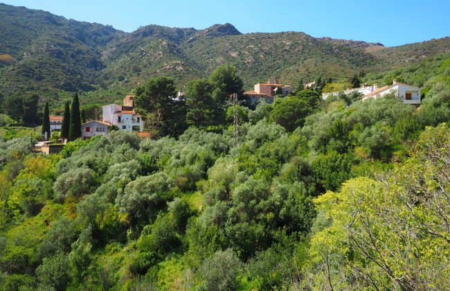 La Rectoria - Foto 15