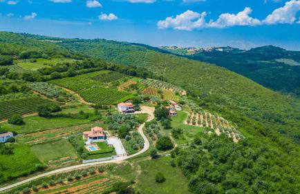 Villa Fiore Spinovci - Foto 39