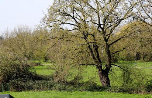 Danielle PICARDA - Photo 5