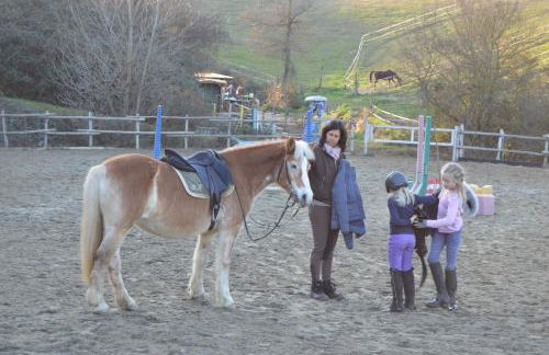 Podere dell'Anselmo - Foto 116