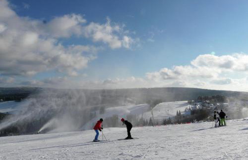 Winterberg Gruppenhaus mit Sauna ideal für Familien & Freunde - Foto 54