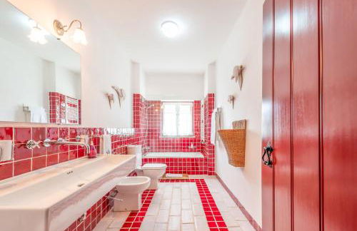 Stunning mansion in São Cristóvão - Photo 35