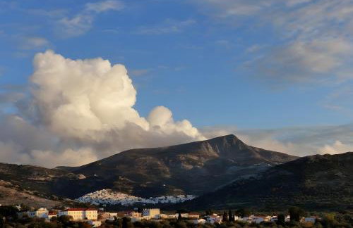 Zeus House - Foto 43