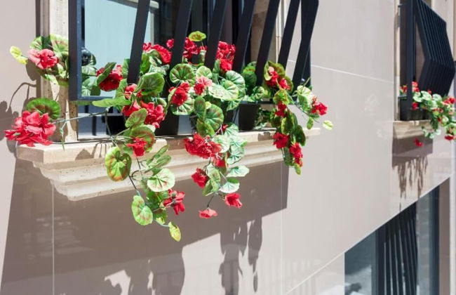 Home Of Istanbul - Foto 53