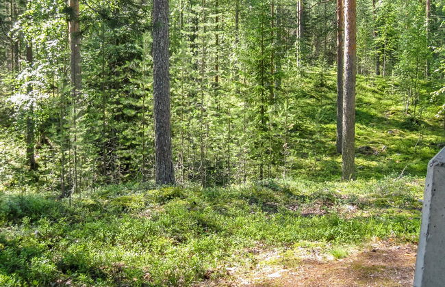 Honkakoli 9 - Foto 31