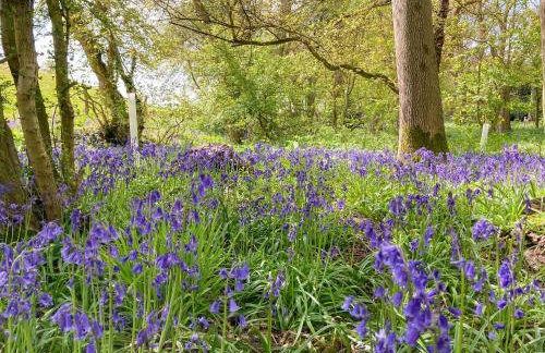 Leveret Lodge - Photo 20