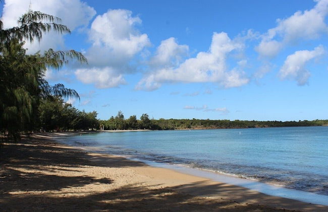 Beachfront Studios - Photo 56