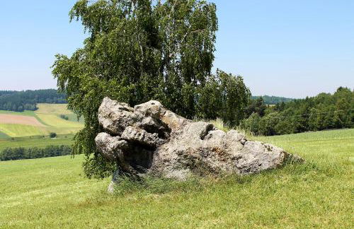 Ferienhof Obermaier - Foto 11