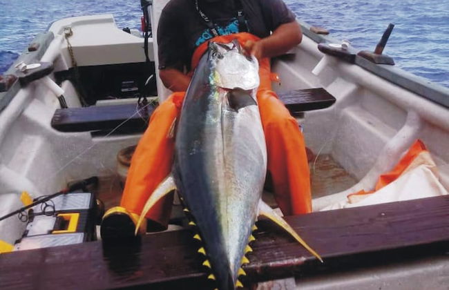 Cabañas Te Maori - Foto 30