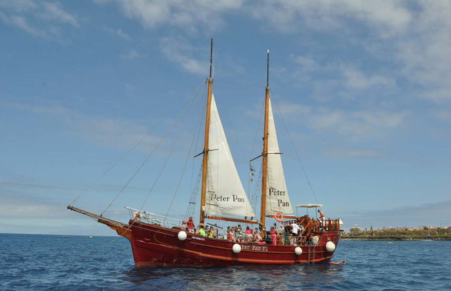 Schooner Whale Watching Cruise - Photo 3