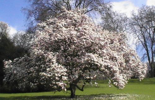 Business Suiten - Foto 30