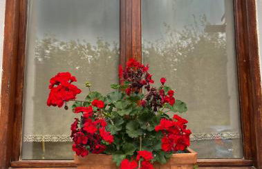 Agroturismo Kostegi - Foto 19