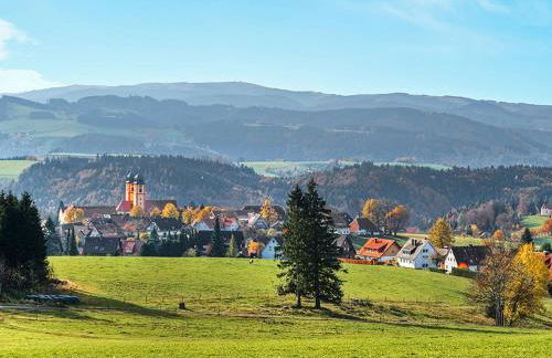 Ferienwohnung Meierhof, 38qm - Foto 5