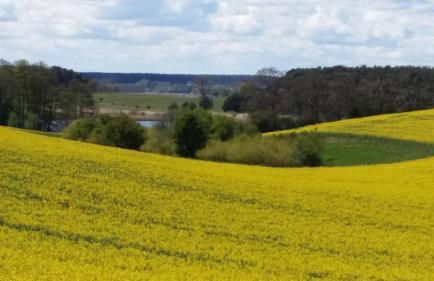 Ferienhaus Storchenweg - Foto 49