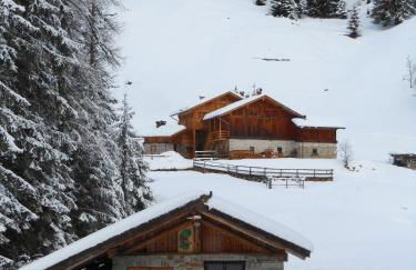 Maso Coler - Foto 46