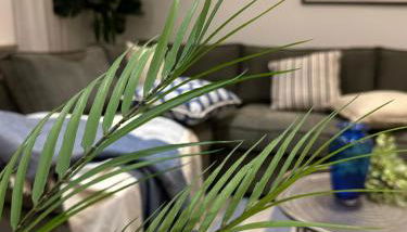 1C Boutique Apartments NR14 - Photo 5