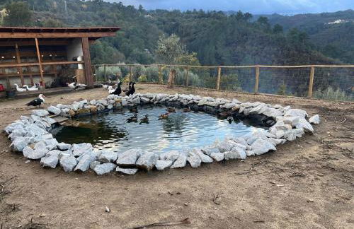 House with saltwater pool - Charming in the Douro Valley - Foto 13