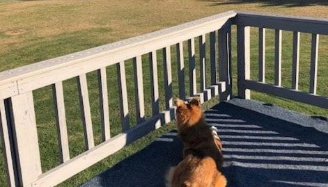 Oyster Cottage in Historic Fishing Village cottage - Foto 3