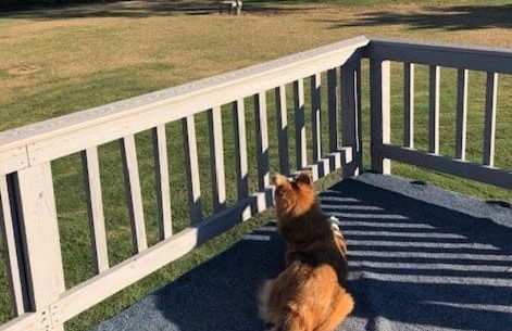 Oyster Cottage in Historic Fishing Village cottage - Foto 3