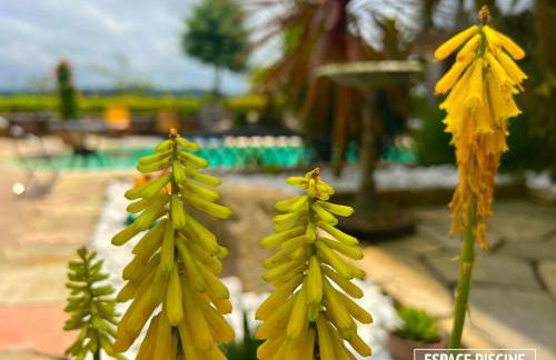 Art-Villa Merkel - 28 pers - 11 chambr - 10 WC - Piscine - Foto 48