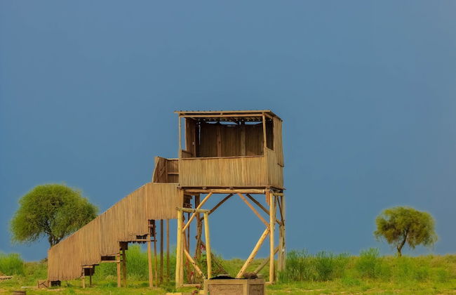 Amanya 1-bed Zebra Tent - Foto 25