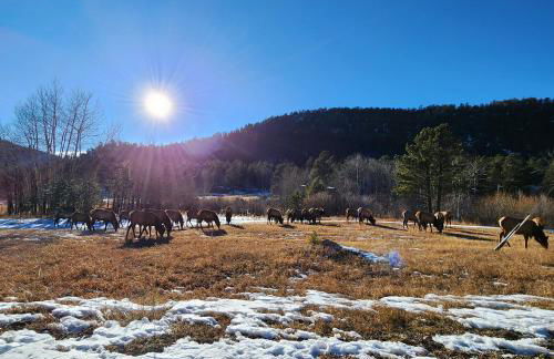 Cozy Mountain Home with Great Views, Deck & WiFi - Photo 42