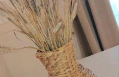 ZOGRAFOS SPIROS Rooms - Foto 26