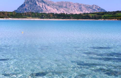 Appartamento in residence fronte mare - Photo 21