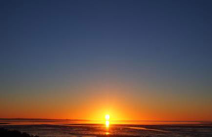 Villa La Tosca - Photo 40