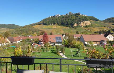 Gite des Cépages - Foto 20