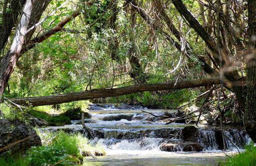 Encinar de Aguas Blancas - Foto 34