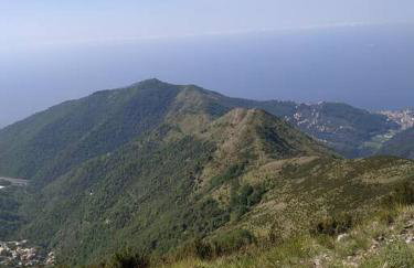 CASA LINA citra 010031-LT-0009 - Foto 29