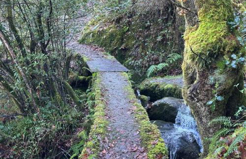 Adiva Loft - Photo 41