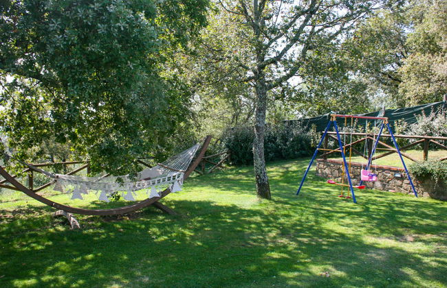 A spasso tra gli ulivi - Foto 12