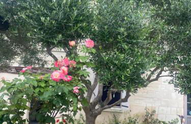 Logis huit clos calme et romantique proche Saumur - Photo 35