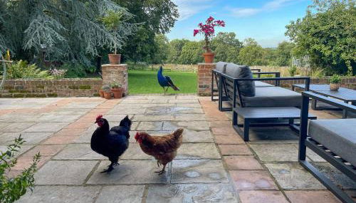 Furzedown Farm House - Foto 2