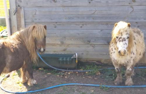 Nid du merle avec sauna et jacuzzi privatif - Foto 42