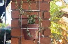 Pousada Terra Prometida - Foto 42