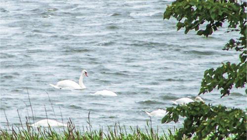 Lovely Home In Osieki With Kitchenette - Foto 2